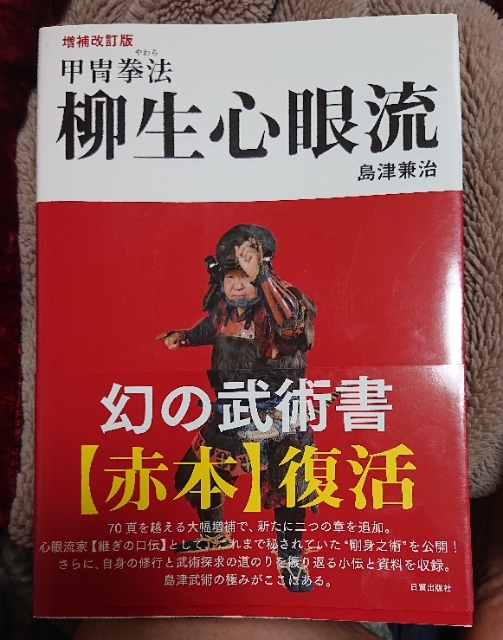 柳生心眼流伝系: 柳生心眼流兵法術、竹翁舎、関西支部、柳新館、