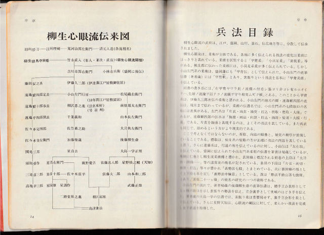 柳生心眼流伝系: 柳生心眼流兵法術、竹翁舎、関西支部、柳新館、